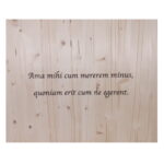 Frase personalizzata laser lamellare monostrato